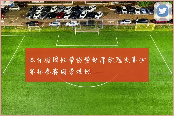 本怀特因韧带伤势缺席欧冠决赛世界杯参赛前景堪忧
