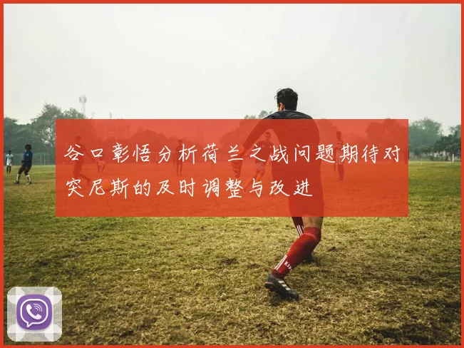 谷口彰悟分析荷兰之战问题期待对突尼斯的及时调整与改进